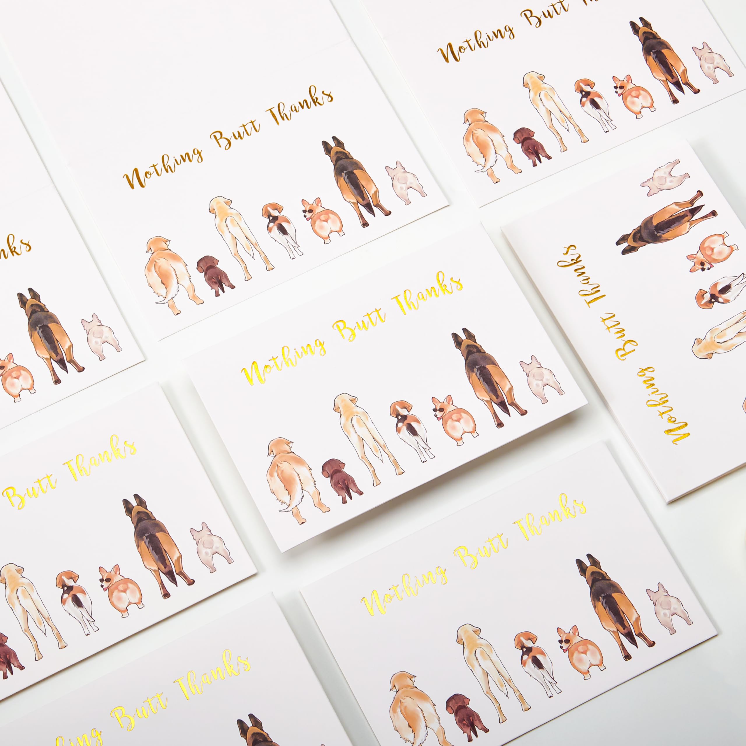 Crisky 50 Count Dog Thank You Cards Nothing Butt Thanks Gold Foil Funny Thank You Cards with Envelopes & Stickers For Friends, Women Men, Teachers, Colleagues, Dog Lovers