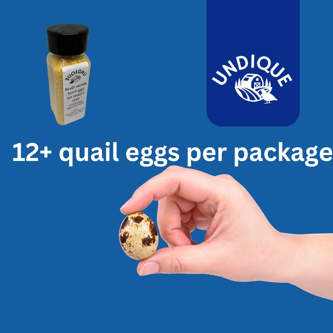 Quailicious Boost - High-Protein Quail Egg Dog Food Topper, Made in USA on Family-Run Farms, Nutrient-Rich, Freeze-Dried Quail Eggs for Dogs, Grain-Free, Digestive Support, Perfect for Picky Eaters