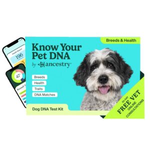 ancestrydna know your pet dna: dog dna breed identification test, dog health screening, genetic traits, dna matches, dog dna test, dog breed dna kit, easy-to-use pet dna health test