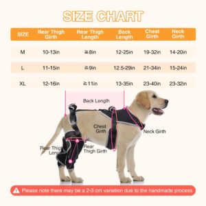 Dog ACL Knee Brace for Torn ACL Leg,ACL Brace for Dogs Rear Legs,Dog Back Leg Support Brace,Dog ACL Brace Hind Leg,Dog Leg Brace, Dog CCL Brace,Braces for Dogs Hind Legs Balance(L)