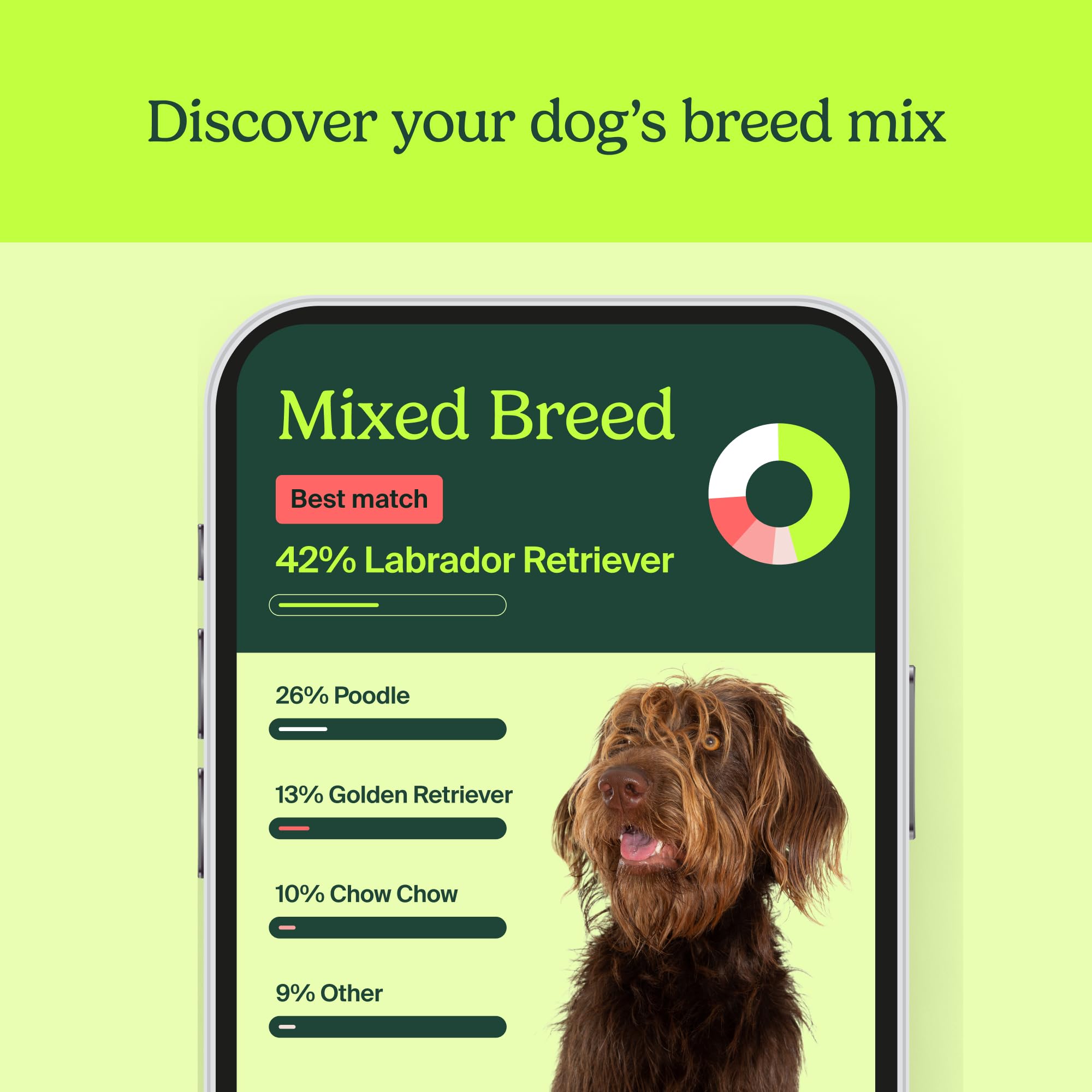 AncestryDNA Know Your Pet DNA: Dog DNA Breed Identification Test, Dog Health Screening, Genetic Traits, DNA Matches, Dog DNA Test, Dog Breed DNA kit, Easy-to-Use Pet DNA Health Test