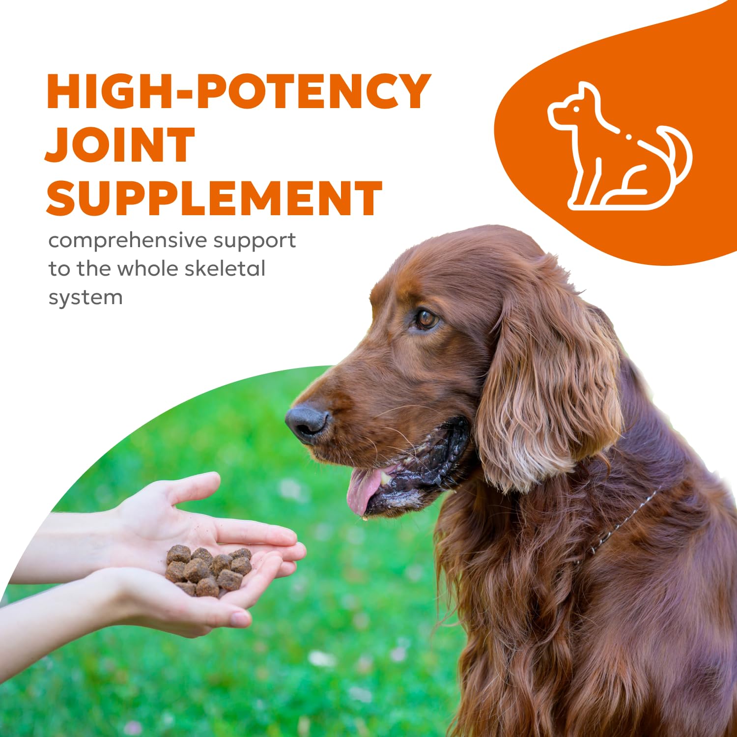 Wholesome Pet Wags Canine Hip & Joint Soft Chews | Supplement for Dogs, Glucosamine, Collagen, Chondroitin, Turmeric Supplements, Dog Joint Health Support | 60 Chews (180g, 6.35 oz.)