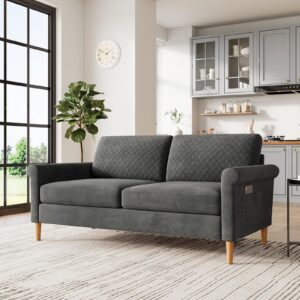 vesgantti 65" grey loveseat, comfy small couch, mid century modern decor loveseat sofa, couches for living room, small couch for bedroom, 2-seat sofa living room furniture,no tool fast assembly