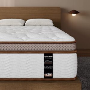 sleepmax plush queen mattress 14 inch - luxury hybrid mattress posture support - 6-layer design for back pain relief - soft bed in a box - fiberglass free, certipur-us certified, 365-night trial