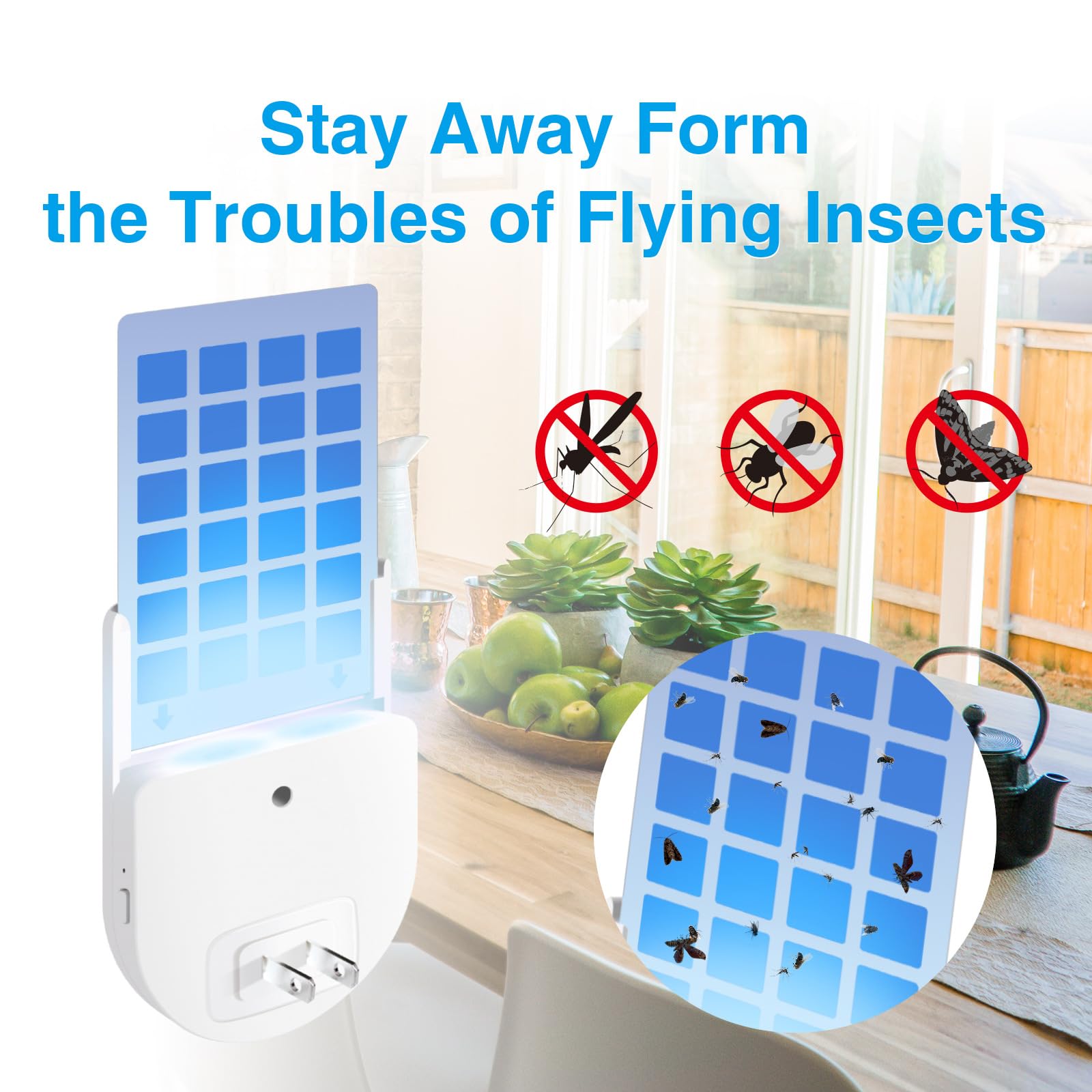 Flying Insect Trap Indoor, Fruit Fly Traps for Indoors with 6 Glue Cards, Safe and Effective Gnat Traps for House Indoor, Fruit Fly Trap Fly Traps Indoor for Home