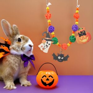 Abizoo Halloween Guinea Pig Toys,Bunny Toys Hanging,Natural Wood for Rabbits Teeth Grinding Chinchilla Dwarf Hamster Rat Gerbi Toys Rabbit Chew Toys Treats Small Animals Enrichment Boredom for Cage