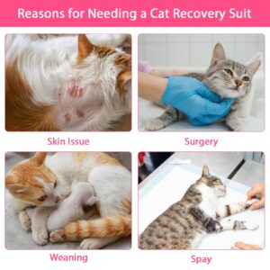 Cat Recovery Suit Cat Onesie for Cats After Surgery Female, Breathable Cat Surgery Recovery Suit for Abdominal Wounds Post-Surgery, Cat Surgical Spay Recovery Shirt for Cats Kitten Pink Small