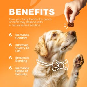 Dog Allergy Relief Chews - Itch Relief for Dogs - Anti Itch - Dog Allergy Chews - US Formulated Dog Itching Skin Relief with Salmon Oil - Immune Health, Seasonal Allergies & Hot Spots Support Treats