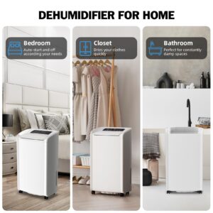 AIRPLUS 4,500 Sq.Ft 70 Pint Dehumidifier for Basements-with Drain Hose,Efficient/Energy Dehumidifier for home -with Dual Protection and 4 Smart Modes/24H Timer/Defrost/for Large room