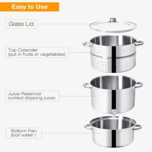 LDAILY 11 Quart Steam Juicer, 3-Layer Steam Juice Extractor, Fruit Vegetable Steamer w/Tempered Glass Lid, Hose, Clamp, Loop Handles, Stainless Steel Steamer Pot Cookware for Making Juice/Jelly/Pasta