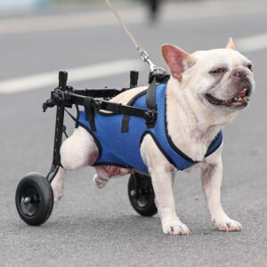 Dog Wheelchair for Back Legs Adjustable Pets Cart with Wheels for Back Legs Dog Leg Brace and Hip Support Mobility Aids for Pets (S)