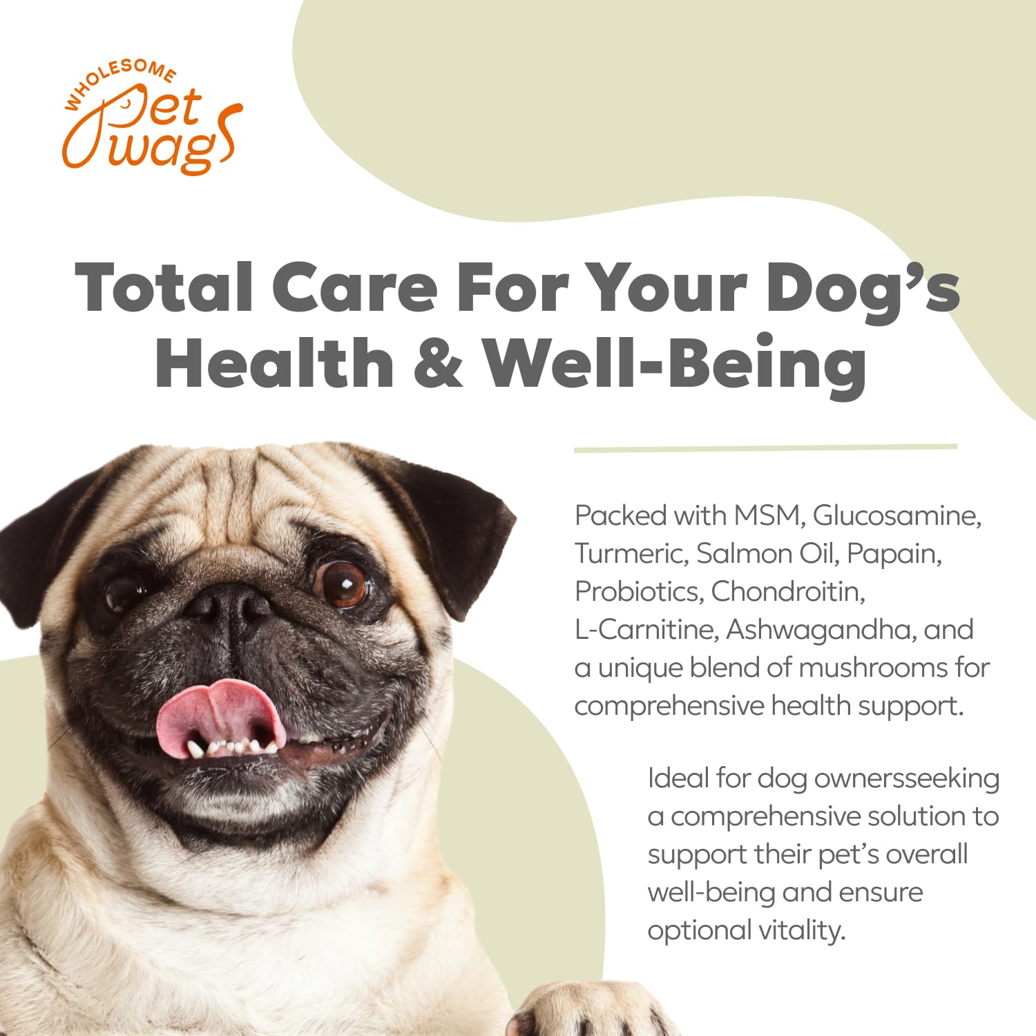 Wholesome Pet Wags Canine Multi Soft Chews | Chewable Supplements for Dogs, Dog Supplement, Glucosamine, Chondroitin & Multivitamins | 60 Chews (180g, 6.35 oz.)