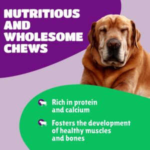 Healthy Yak Cheese Himalayan Chews, All-Natural & High in Protein, Odorless & Long Lasting Yak Chews for Large Dogs & Medium Dogs, Yak Cheese Dog Chews for Aggressive Chewers, 4 Large Pieces.