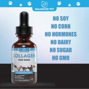 Liquid Collagen for Dogs : Collagen for Dogs : Dog Liquid Collagen : Dog Collagen : Dog Collagen Drops : Daily Collagen for Dogs : Collagen Dog : Collagen Dogs : Collagen Drops for Dogs : 1 fl oz