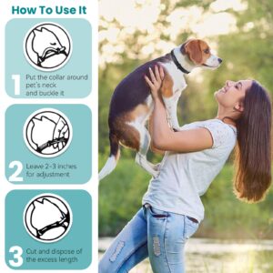 EON SNUGGLEMATES Calming Collar for Dogs 4 Packs Dog Pheromone Calm Collars Relief Anxiety Stress Separation Lasts 60 Days Relieve Bad Behavior 25 Inches Size Flexible Adjustable Dog