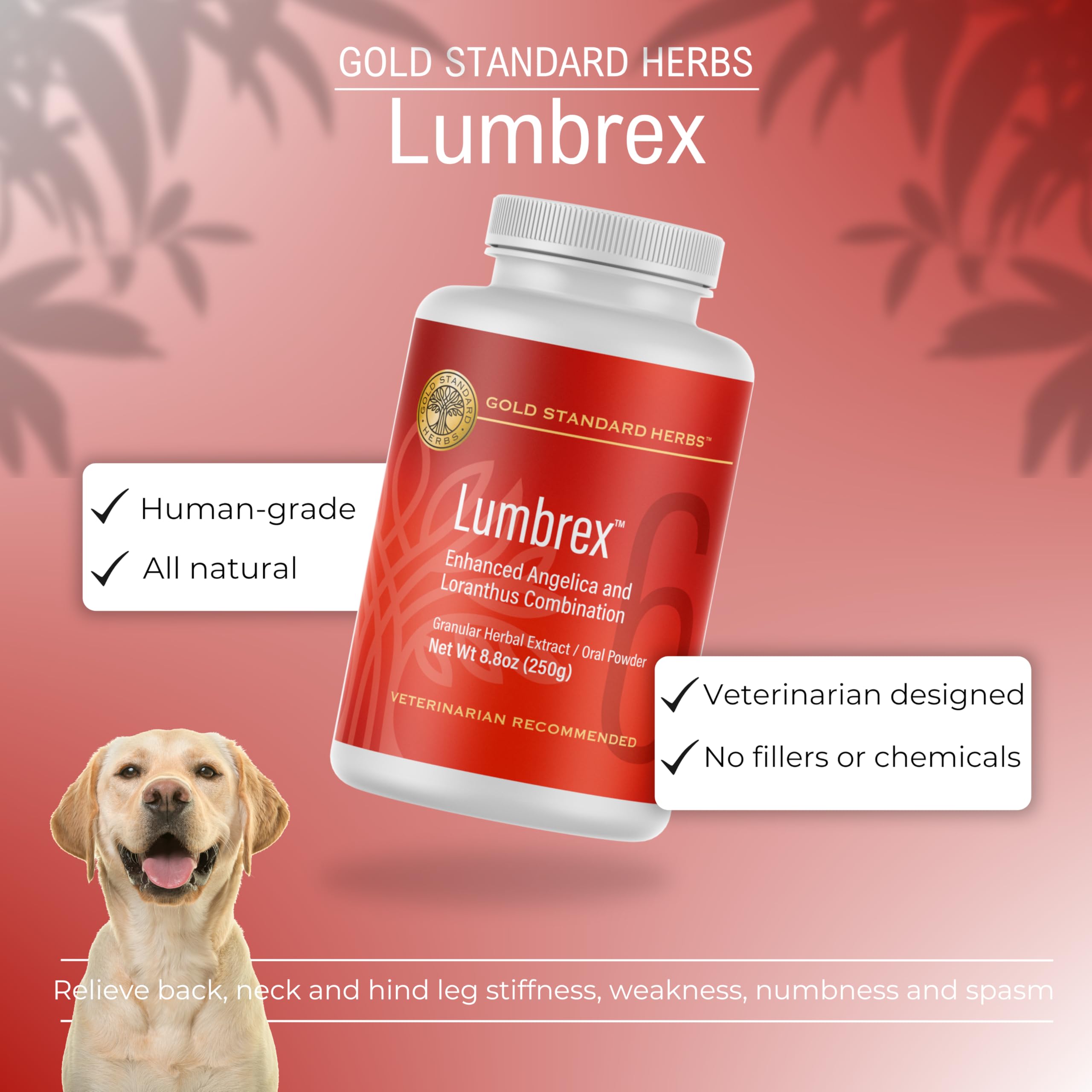 Lumbrex Joint Pain and Stiffness Relief Supplement for Dogs by Gold Standard Herbs, All Natural Angelica Root and Loranthus, 250 gram Powder