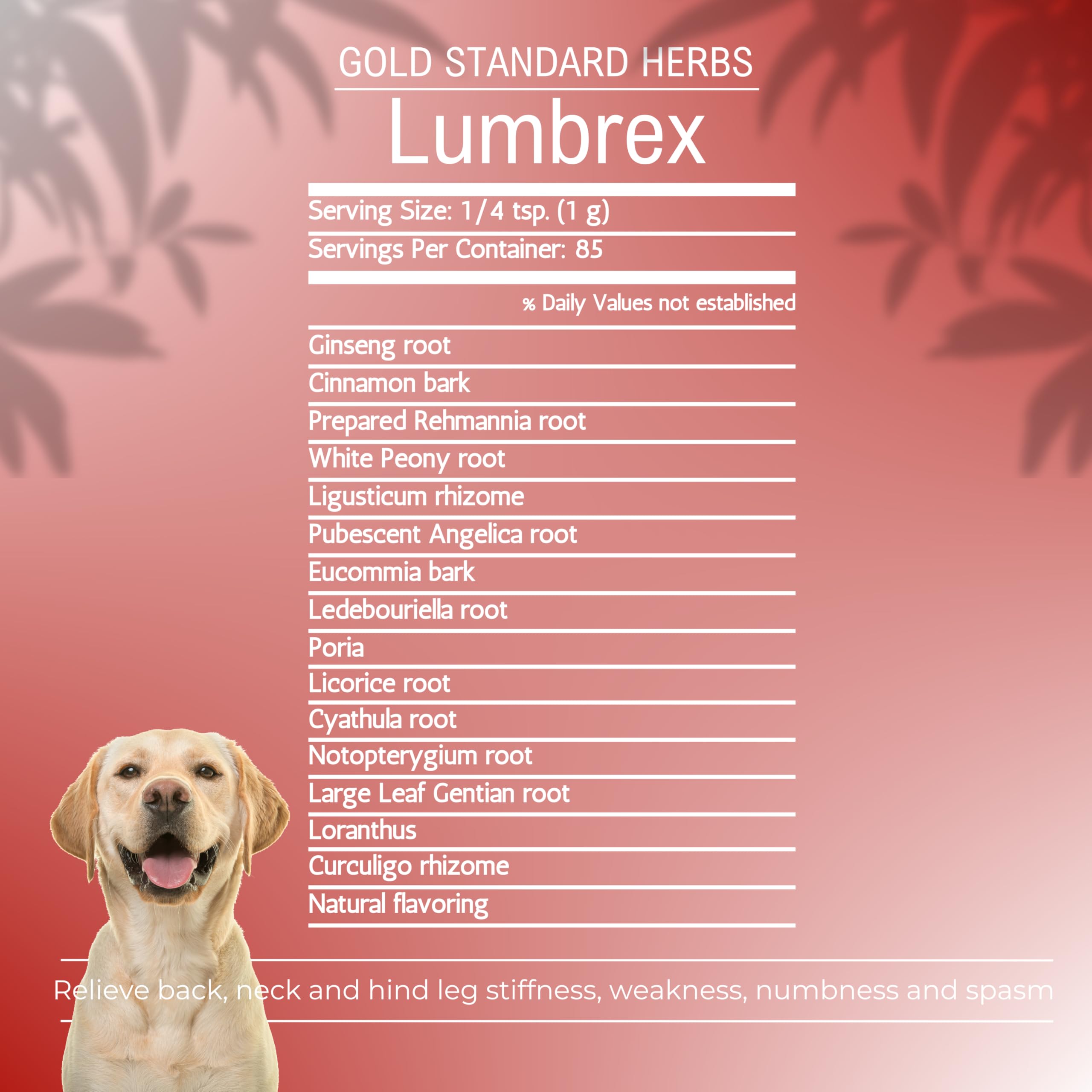 Lumbrex Joint Pain and Stiffness Relief Supplement for Dogs by Gold Standard Herbs, All Natural Angelica Root and Loranthus, 250 gram Powder