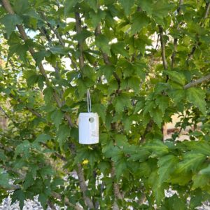 Yellow Jacket Bait Bottle/Station for Pest Control, Microencapsulated Bait, wasp Control