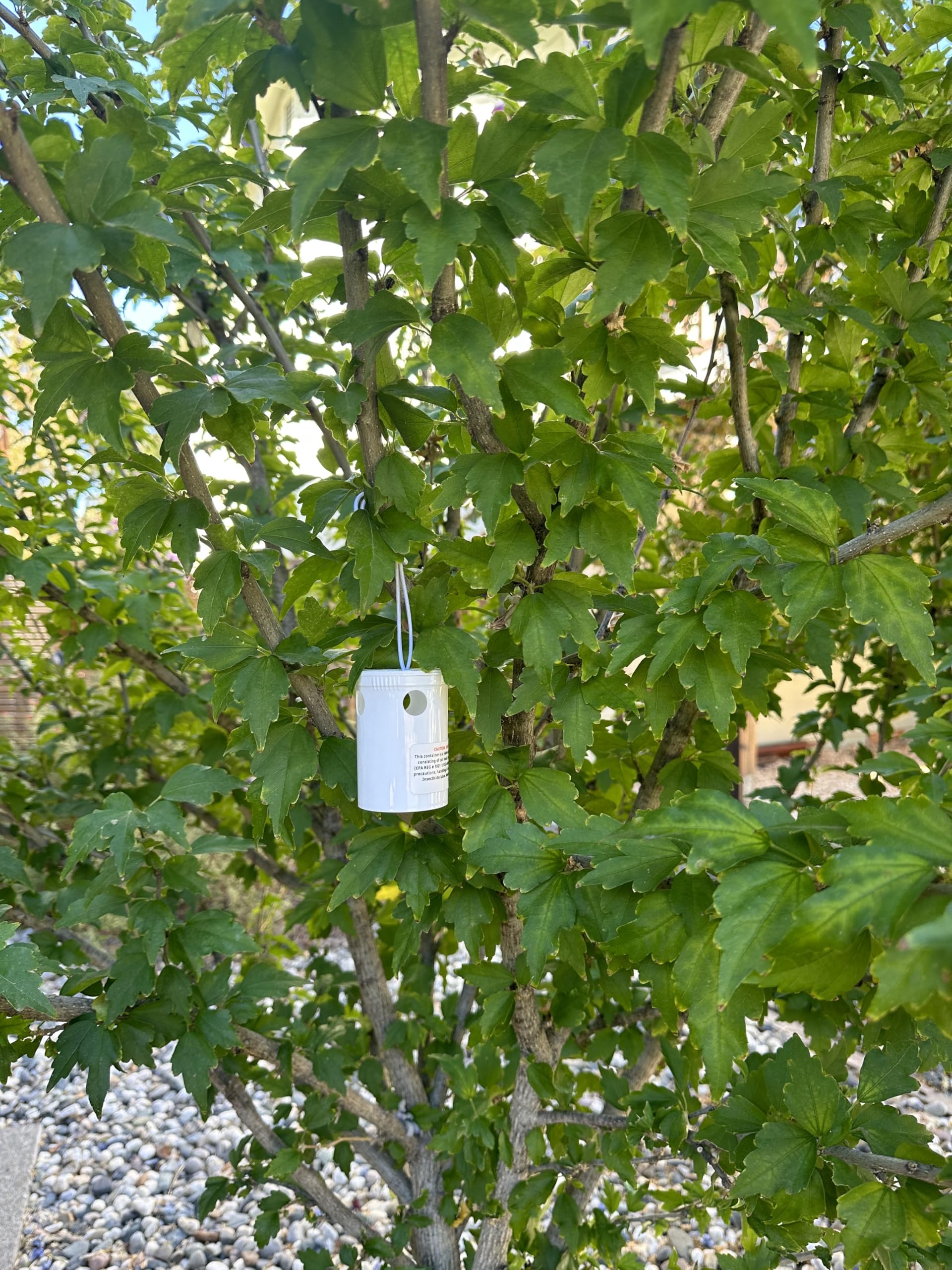 Yellow Jacket Bait Bottle/Station for Pest Control, Microencapsulated Bait, wasp Control