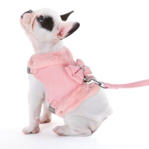 Didog Cute Small Dog Harness and Leash Set, Winter Warm Dog Harness with Bow Tie, Adjustable Soft Padded Puppy Vest with Removable Plush Collar for XS Small and Medium Sized Dogs (Pink, M)