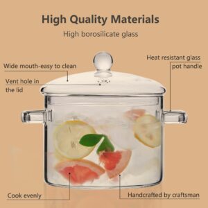 64oz/1900ml Clear Glass Simmer Pot for Cooking on Stove with Lid, Glass Saucepan Cookware Set for Pasta Noodle, Soup, Milk, Baby Food