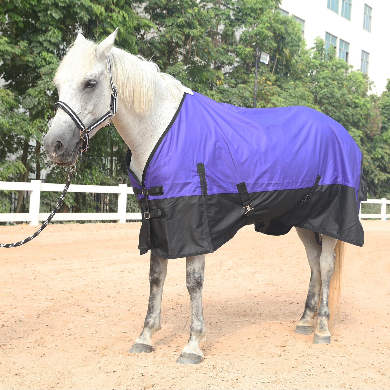 Gallopoff 600 Denier Rip-Stop Horse Rain Sheet Lightweight Waterproof and Breathable Turnout Horse Blanket (No Fill) Violet/Black 78