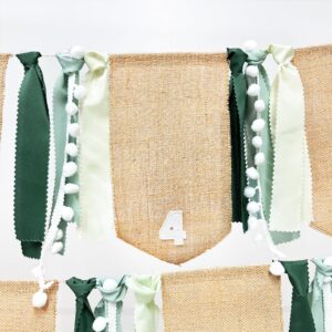 pinkblume 1st Birthday Burlap Photo Banner Garland Handmade Felt from Newborn to 12 Months with Gradient Sage Green Ribbon for Baby Boy Girl Monthly Milestones First Birthday Party Decoration Supplies