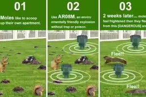 Ultrasonic Mole Repellent Outdoor 2024. Mole Repellent for Lawns, Garden, Yard. Mole and Vole Repellent Solar Powered, Waterproof, Gopher Repellent.