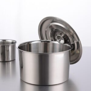 Stainless Steel Stew Pot, and Multifunctional, High Temperature Resistant, 0.2in Thick, Suitable for Seasoning, Eggs (22cm)