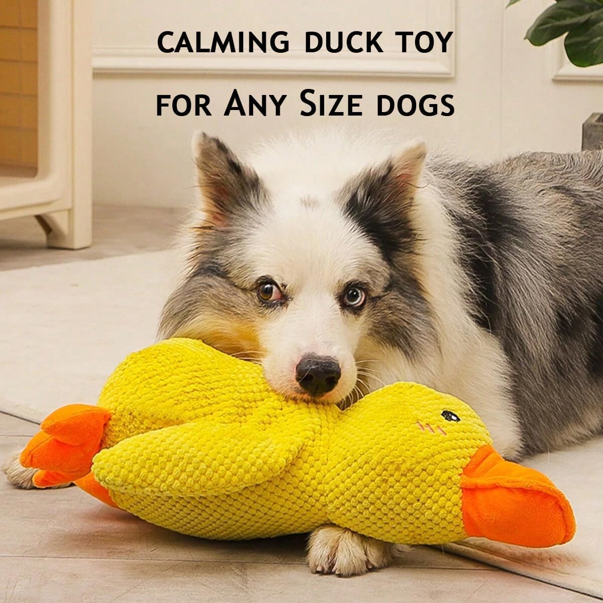 Mellow Dog Calming Duck, Calming Duck Dog Toy Bright Yellow, The Mellow Dog Calming Duck, Yellow Duck Dog Toy, The Calming Duck Dog Toy, Dog Toy Duck with Squeaker (1PCS Large)