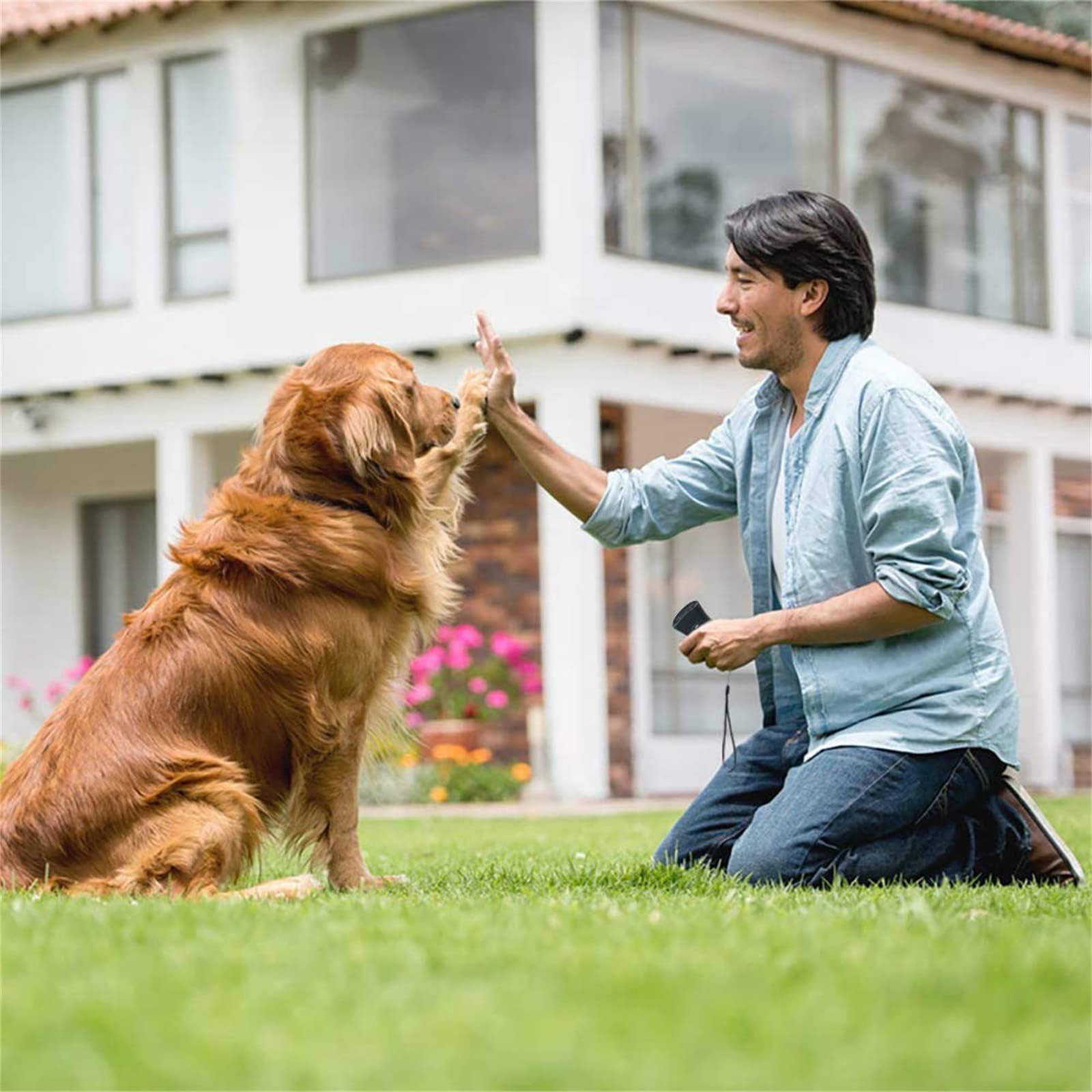 Delupets Max Trainer Bark Control, Delupets Bark Control, Delupets Max Trainer, Antibarking Device for Dogs with LED Flashlight and Strap for Training & Behavior Aids (1Pcs)