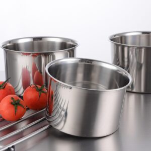 Stainless Steel Stew Pot, and Multifunctional, High Temperature Resistant, 0.2in Thick, Suitable for Seasoning, Eggs (22cm)