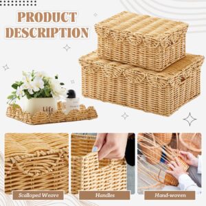 Sintuff 2 Pieces Hand Woven Rattan Basket with Lid Scalloped Storage Basket 2 Sizes Multipurpose Wicker Basket Large Decorative Storage Box for Shelf Closet, Natural