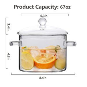 1900ML/67oz Glass Clear Saucepan with Lid,Best Handmade Easy Clean Heat Resistant Glass Cooking Pot for Noodles, Soup, Cereals, Fruits