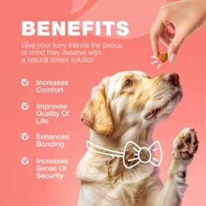 Dog Flea and Tick Treatment Chews - Flea and Tick Prevention for Dogs - Flea & Tick Chewables - Natural Dog Flea & Tick Control Soft Treats - Flea Chewables for Dogs - Immune Support Supplement