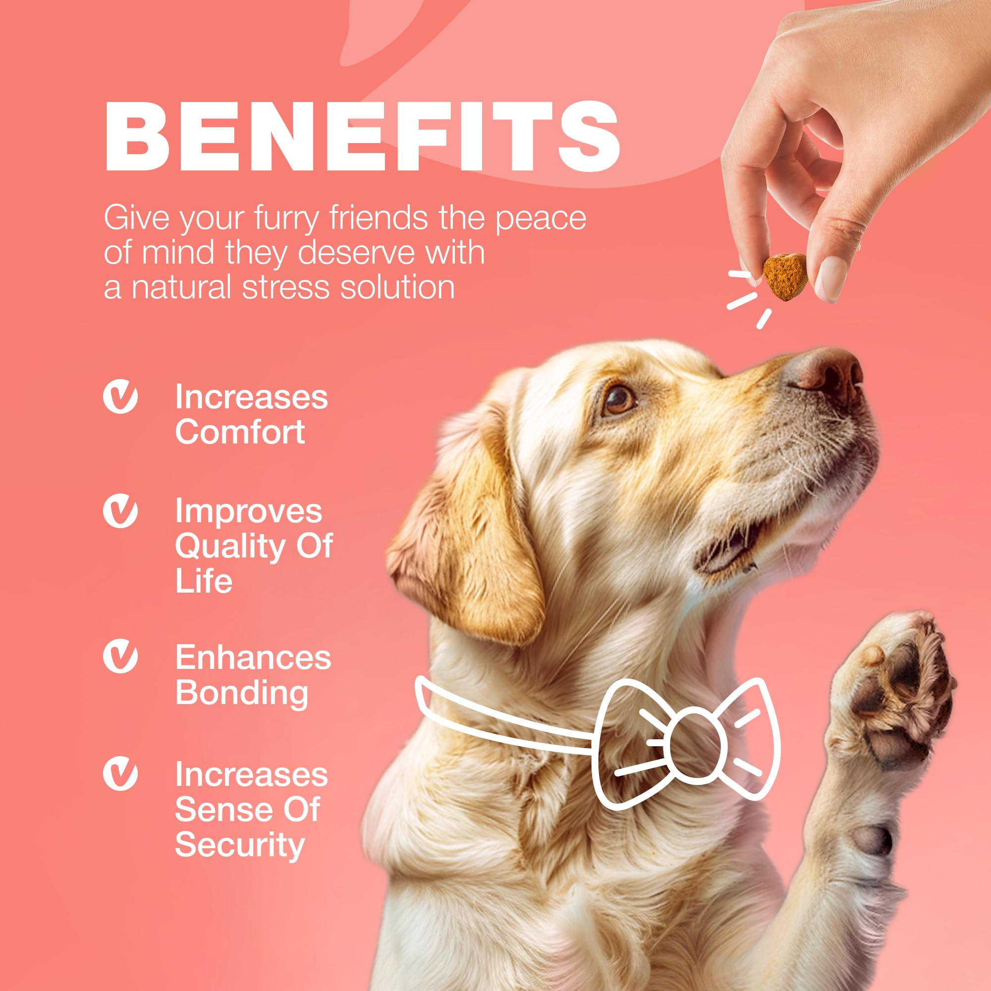 Dog Flea and Tick Treatment Chews - Flea and Tick Prevention for Dogs - Flea & Tick Chewables - Natural Dog Flea & Tick Control Soft Treats - Flea Chewables for Dogs - Immune Support Supplement