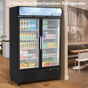 MERXENG Beverage Refrigerator, 36.3 Cu.ft Commercial Display Refrigerator Merchandise for Home Restaurant Grocery Stores, 2 Glass Door Merchandiser Refrigerator,Back Bar Beverage Cooler