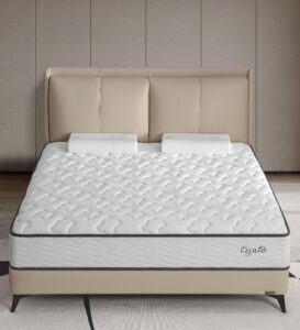 cejato queen mattresses,12 inch queen size mattress in a box,memory foam hybrid white mattress with provide support and improve sleep mattresses,medium firm,certipur-us.