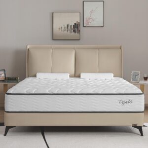 Cejato Queen Mattresses,12 Inch Queen Size Mattress in a Box,Memory Foam Hybrid White Mattress with Provide Support and Improve Sleep Mattresses,Medium Firm,CertiPUR-US.