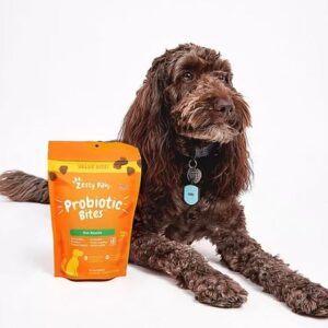 Probiotic Bites for Dogs 170 Soft Chews– Compatible with Zesty Paws Pumpkin Flavor