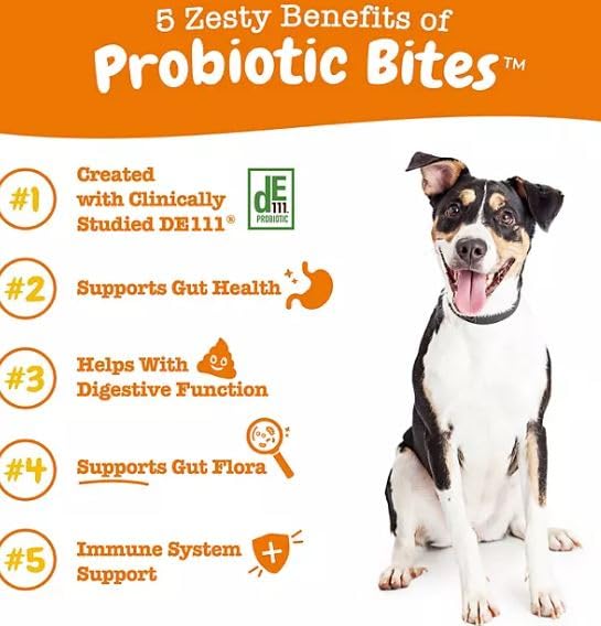 Probiotic Bites for Dogs 170 Soft Chews– Compatible with Zesty Paws Pumpkin Flavor