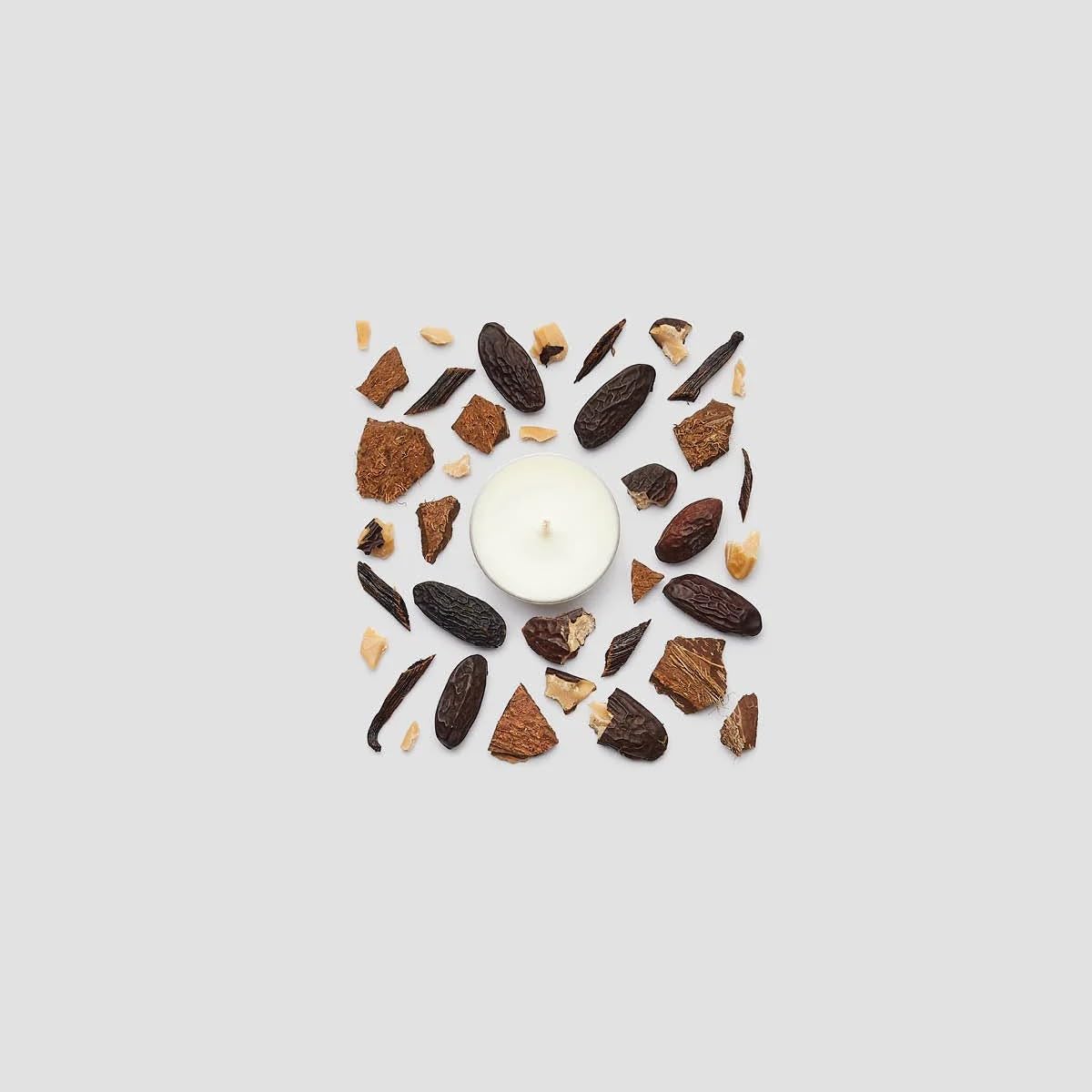 PartyLite Brighter World™ Vanilla Tonka Bean 100% Soy Tealight Candles