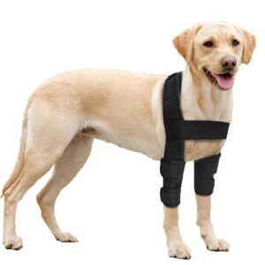 dog knee brace for acl - luxating patella ligament injury hip support and recovery - knee braces for dogs - dog elbow protector（l）