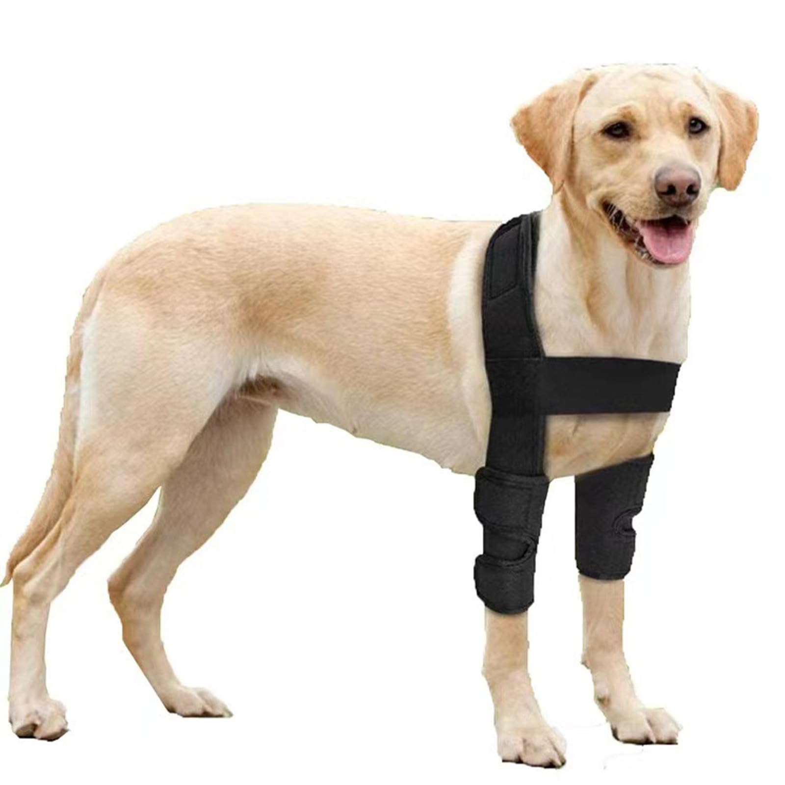 Dog Knee Brace for ACL - Luxating Patella Ligament Injury Hip Support and Recovery - Knee Braces for Dogs - Dog Elbow Protector（L）