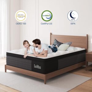 Duchessz Queen Hybrid Mattress,14 Inch Mattress with Gel Memory Foam and Individually Pocket Innerspring Euro Top Mattress Medium Firm for Motion Isolation, Edge Support, 100 Night Trial