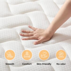 Queen Mattress 12 Inch Hybrid Mattress Queen with Memory Foam - Mattress in a Box with Individual Pocket Spring - Medium Firm Mattress Sleep Support Pressure Relief CertiPUR-US Certified 12 Inch Queen