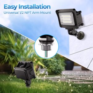 CINOTON 42W LED Barn Light and 30W Dusk Till Dawn LED Flood Light Outdoor