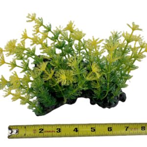 Gingerbread Pet Supply Wide Plastic Aquatic Plant with Large Weighted Base