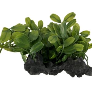 Gingerbread Pet Supply Plastic Anubias Aquatic Plant with Large Weighted Rock