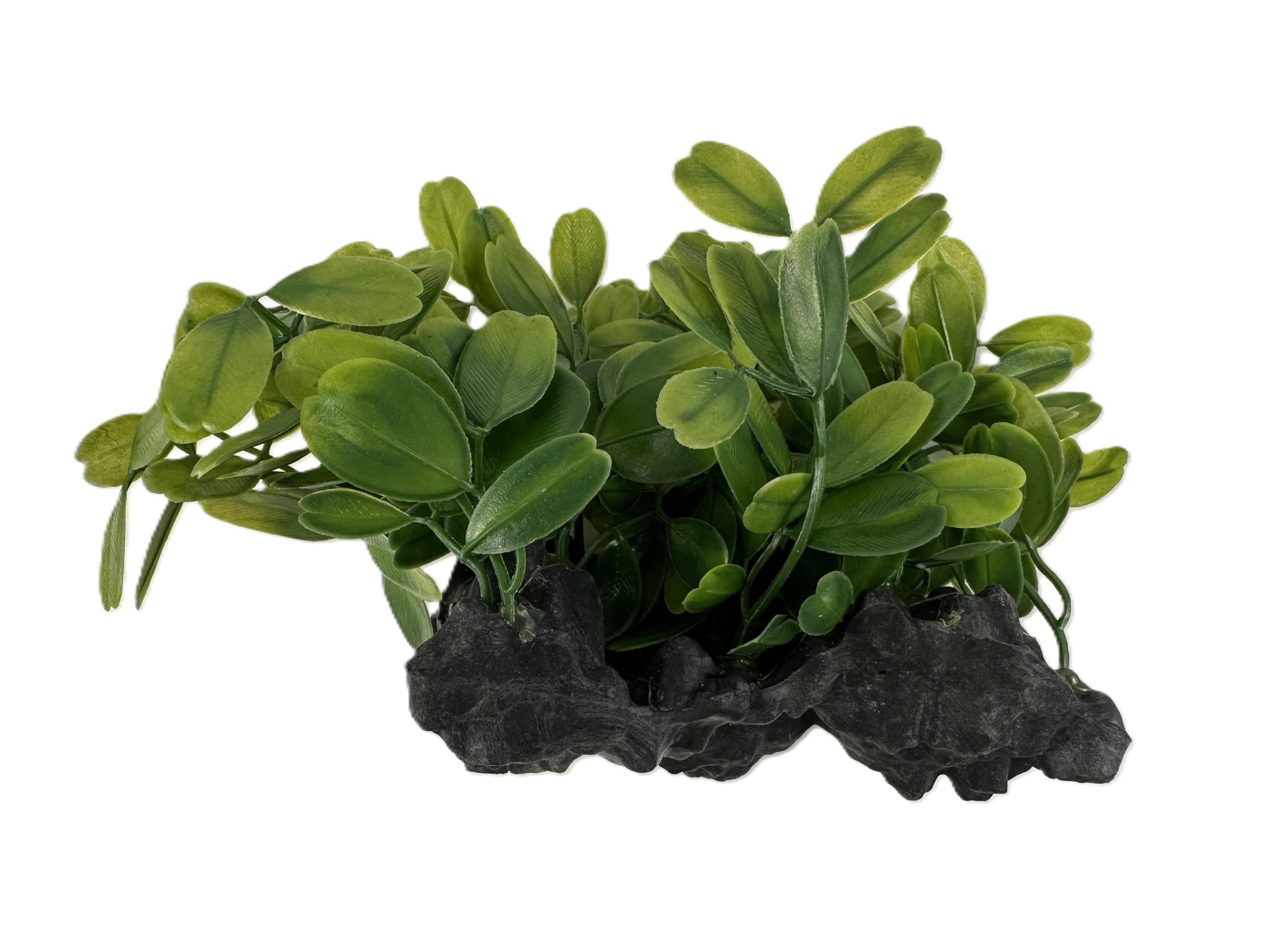 Gingerbread Pet Supply Plastic Anubias Aquatic Plant with Large Weighted Rock